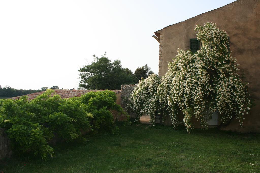 Domaine De La Blaque - B&B Varages Ngoại thất bức ảnh